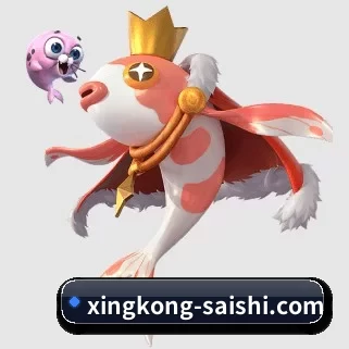 星空世界杯 APP