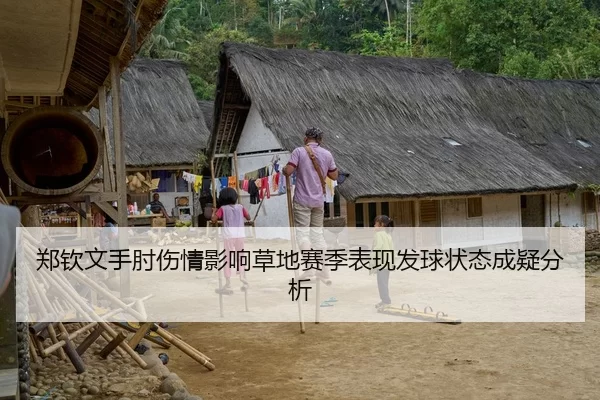 郑钦文手肘伤情影响草地赛季表现发球状态成疑分析