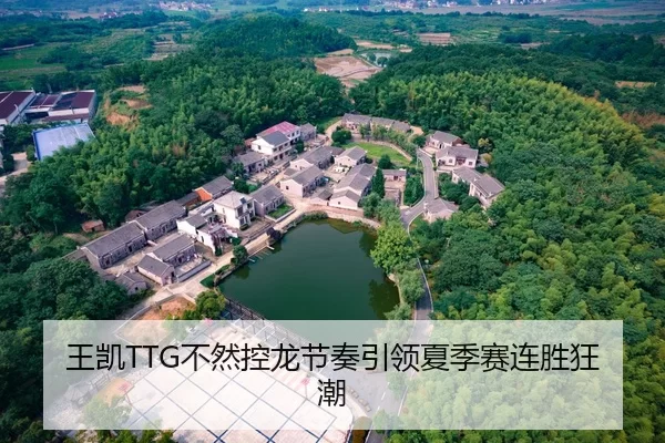 王凯TTG不然控龙节奏引领夏季赛连胜狂潮