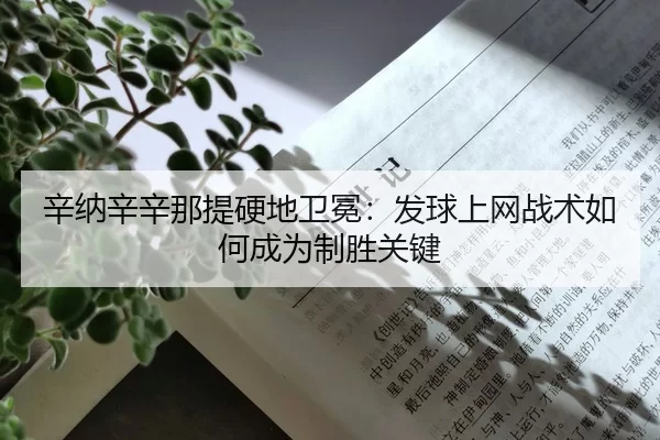 xin-na-xin-xin-na-ti-ying-di-wei-mian-fa-qiu-shang-wang-zhan-shu-ru-he-cheng-wei-zhi-sheng-guan-jian-2-927.jpg