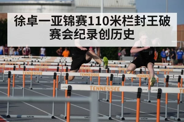 徐卓一亚锦赛110米栏封王破赛会纪录创历史
