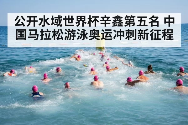 公开水域世界杯辛鑫第五名 中国马拉松游泳奥运冲刺新征程