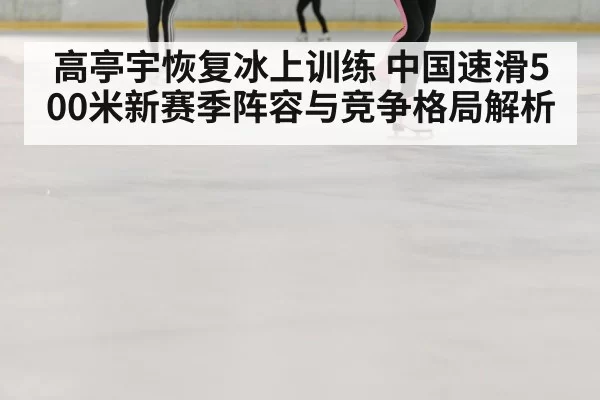 高亭宇恢复冰上训练 中国速滑500米新赛季阵容与竞争格局解析
